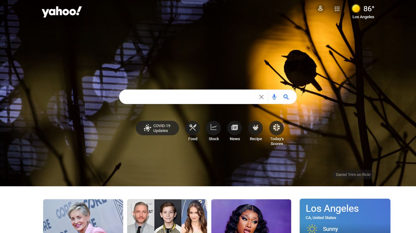 Yahoo Search - Web Search